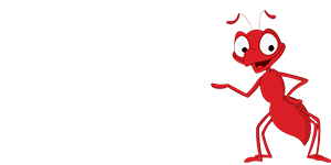 شامپو فرش و موکت رافونه1لیتر | فروشگاه مورچه