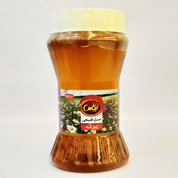 عسل 40گیاه بی موم 650گرم  ژیکاس | مورچه|فروشگاه مورچه