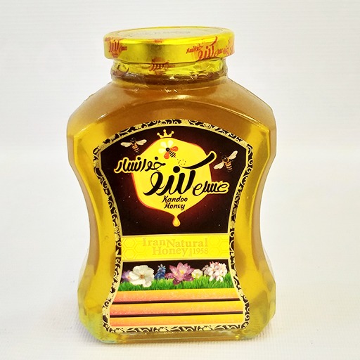 عسل 550 گرم  بی موم فانتزی  کندوخوانسار | مورچه|فروشگاه مورچه