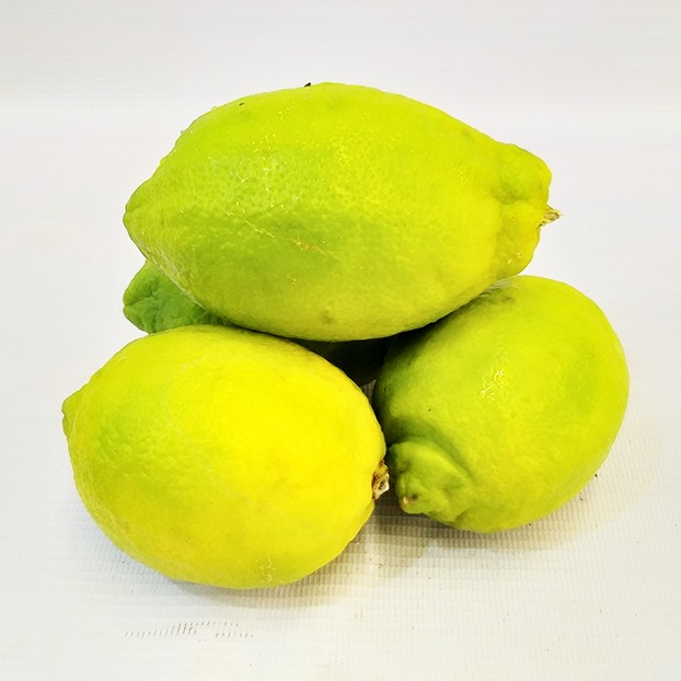 لیمو ترش سنگی تره بار | فروشگاه مورچه