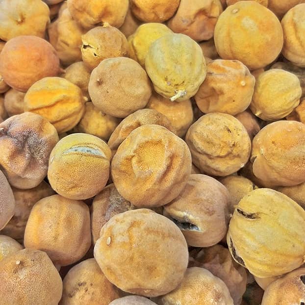 لیمو عمانى فله ای 1 کیلو گرم | فروشگاه مورچه
