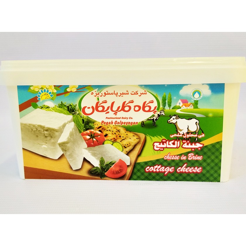پنیر کاتیج 800 گرمی با بسته بندی IML | فروشگاه مورچه