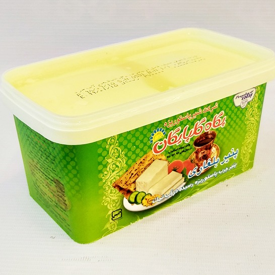پنیر بلغاری 800 گرمی با بسته بندی IML | فروشگاه مورچه