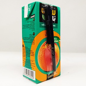 نوشیدنی پرتقال سانی نس حجم ۲۰۰ میلی لیتر | فروشگاه مورچه