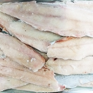 ماهی استیک فیله شیر | فروشگاه مورچه