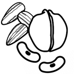 تخمه و مفز طعم دار | فروشگاه مورچه